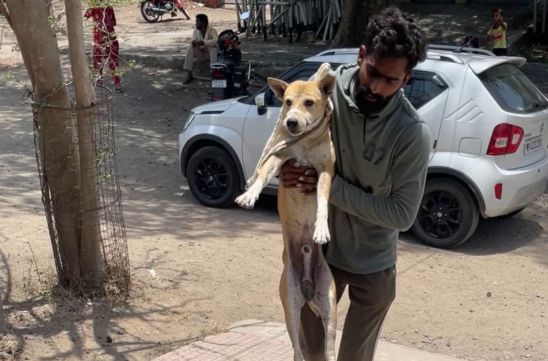 rescue-gallery-1-0